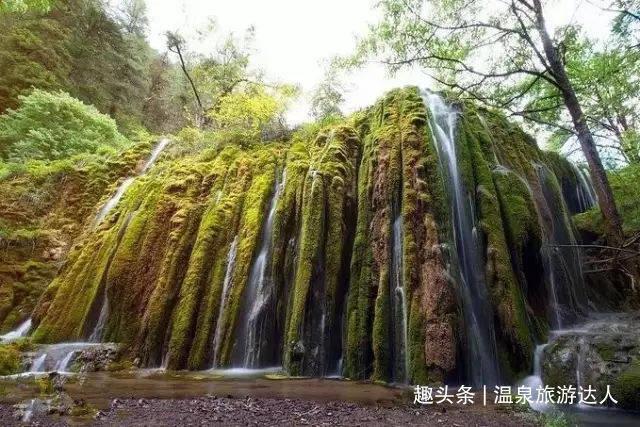 小小忍者疾风传