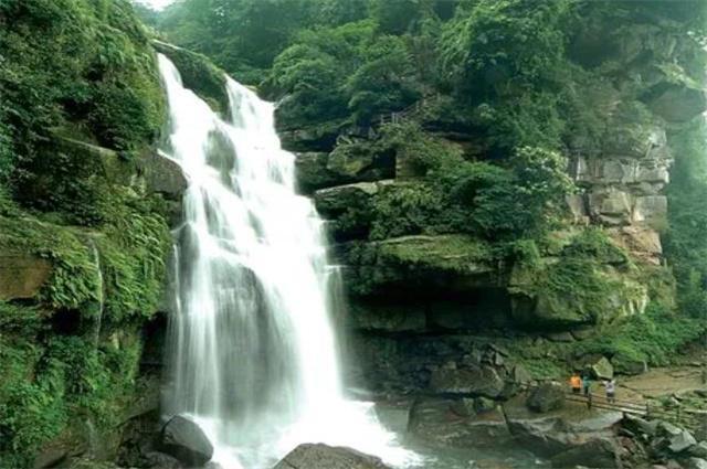厉害了我的巧虎6